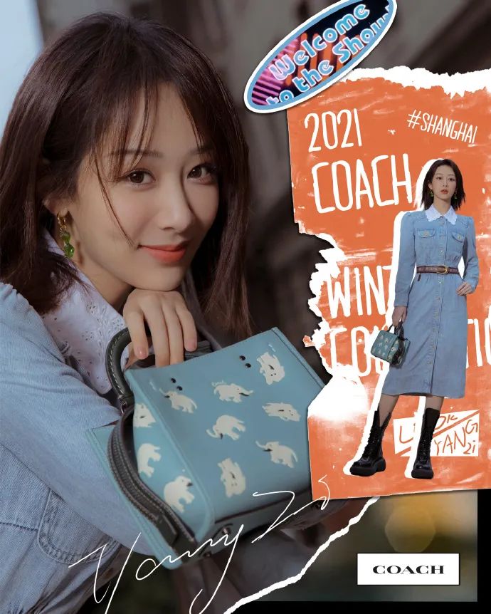 蔻驰经典款包包都有哪些,蔻驰包包哪几款是经典款