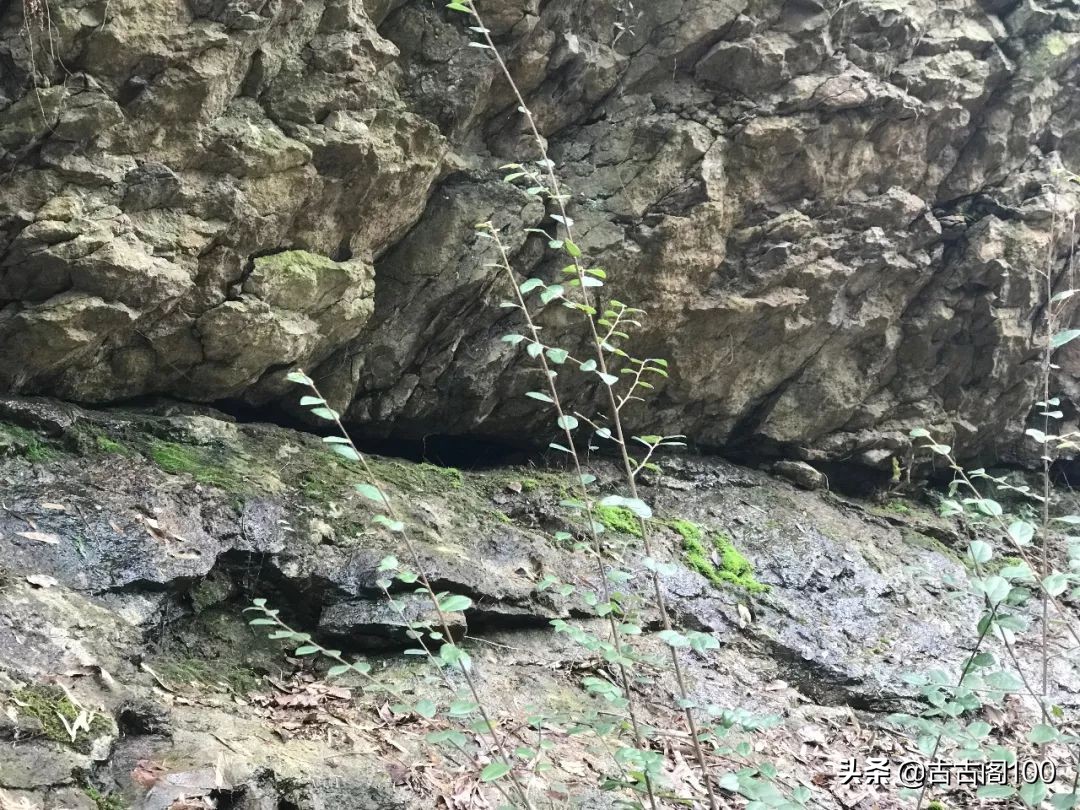 萧绍古道完整版,萧绍古道高度