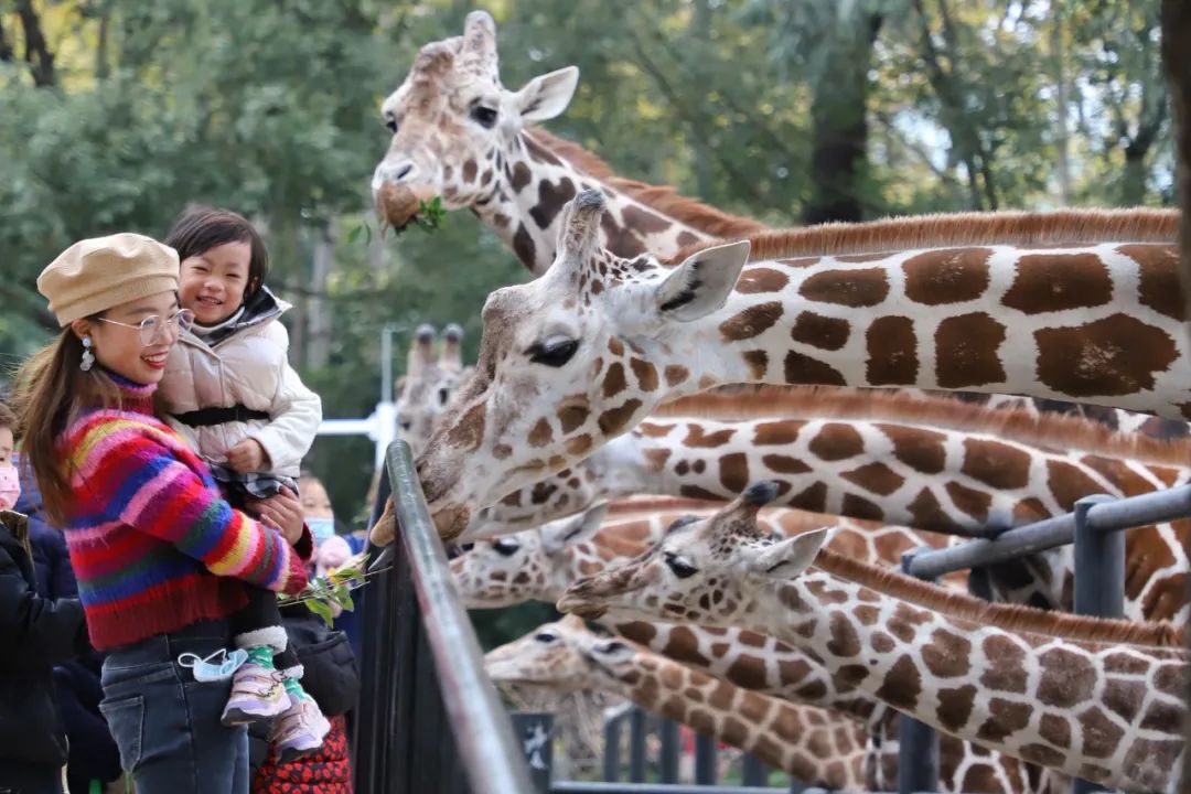 开启非凡住宿万豪旅享家,万豪旅享家邂逅城市五星级酒店