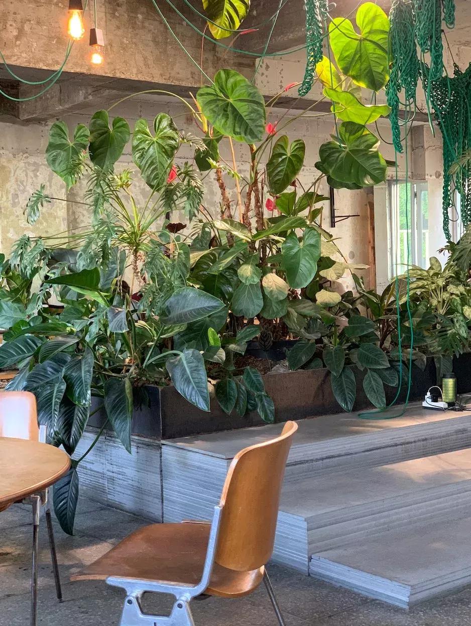 自己去韩国买便宜还是代购便宜,去韩国代购怎么走便宜