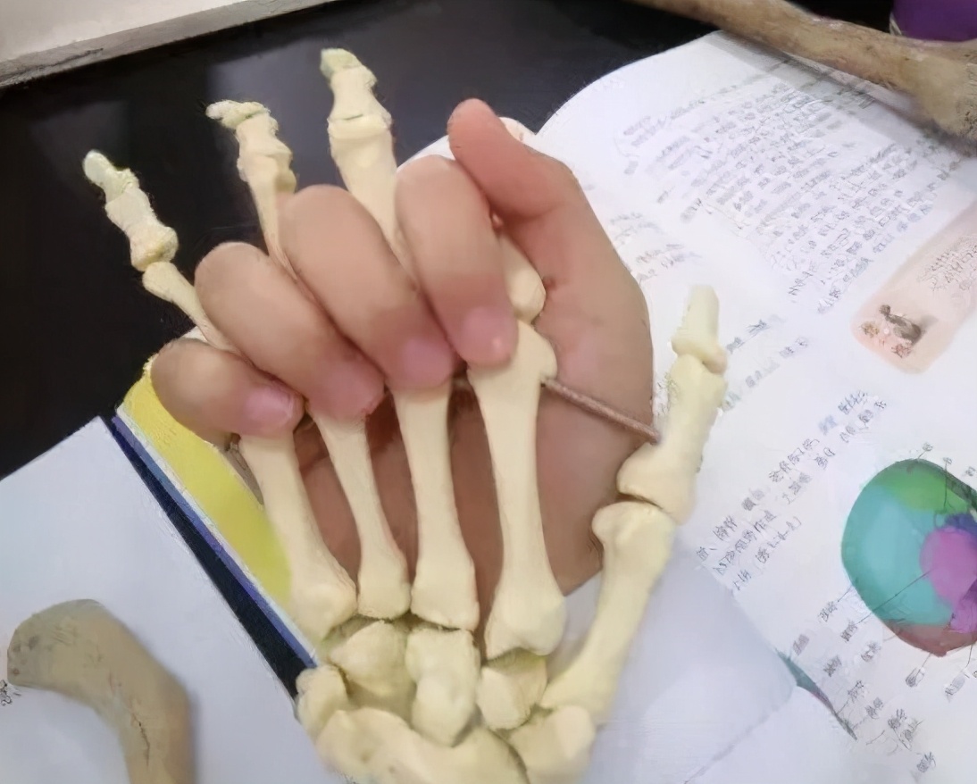 同样是美术生你为何如此优秀,美术生的手和体育生的手