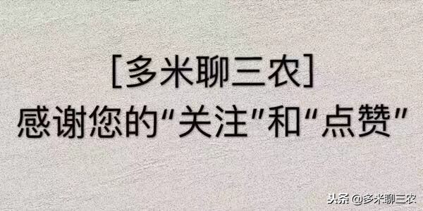 为什么现在的年轻人不喜欢串亲戚,年轻人回农村过年躲避亲戚