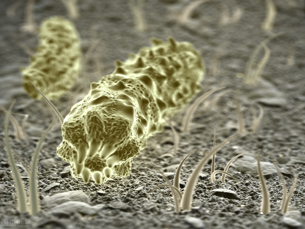 女生小便后，用纸巾擦容易得阴道炎？妇科医生教您如何预防阴道炎