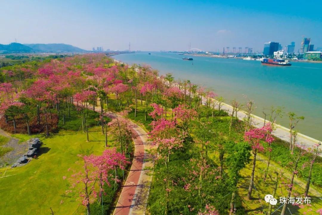 2020美到窒息！珠海的冬天，美炸了