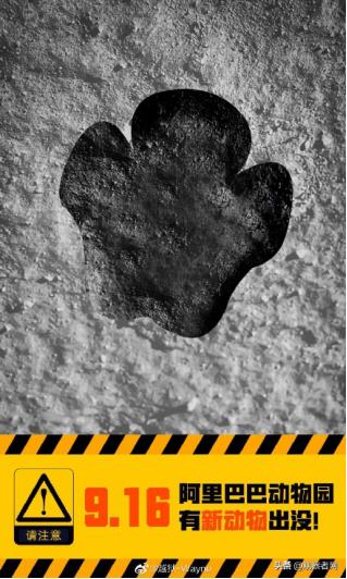 阿里巴巴c2m最新信息,阿里c2m发布会