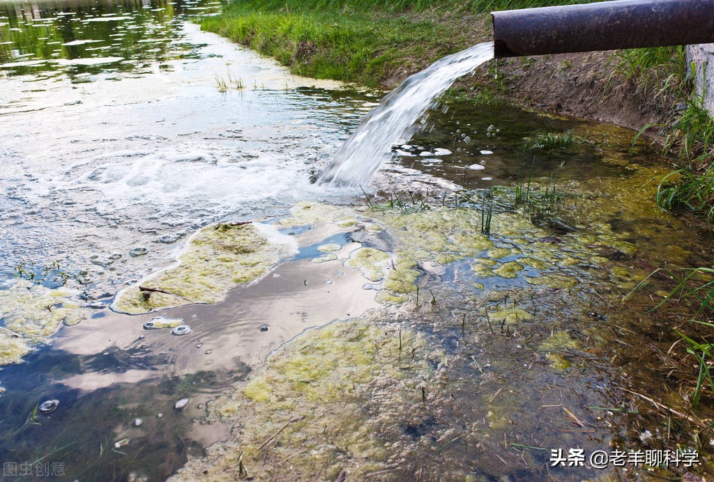 三男子猎捕芝麻剑被刑拘,3男子猎捕芝麻剑被刑拘