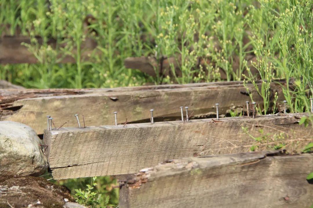 我要去旅行英文,我要去旅行完整版