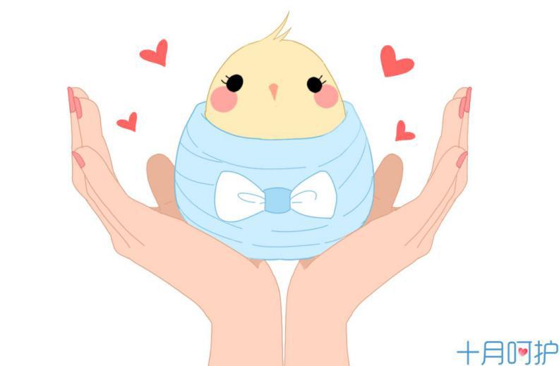 想成功受孕这4个关键点不能忽视,快速受孕