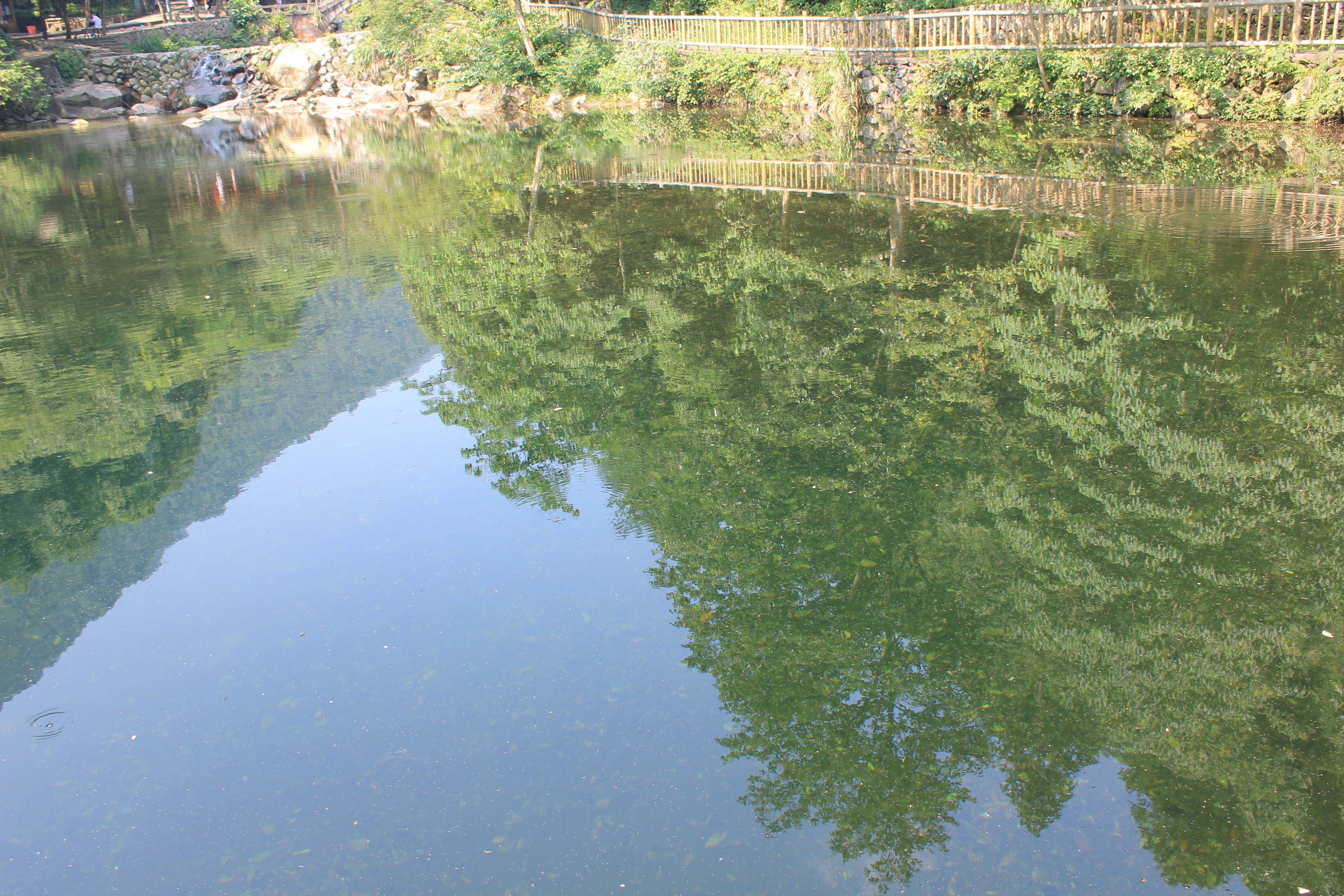 武汉周边避暑胜地｜端午武汉至咸宁九宫山2日自驾亲子游路线分享