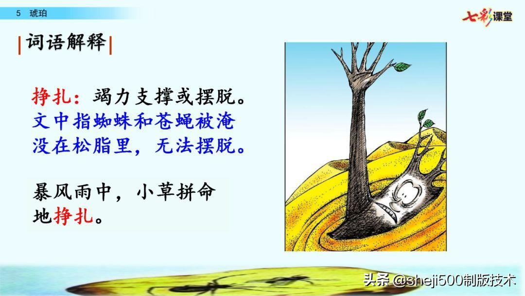 四年级语文下册第5课琥珀知识点,语文书四年级下册琥珀预习分段