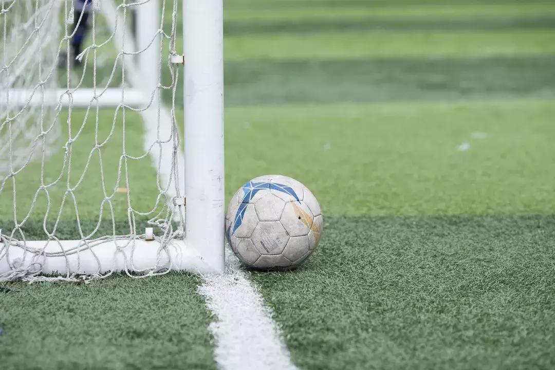 狼队产业,狼队的商业版图