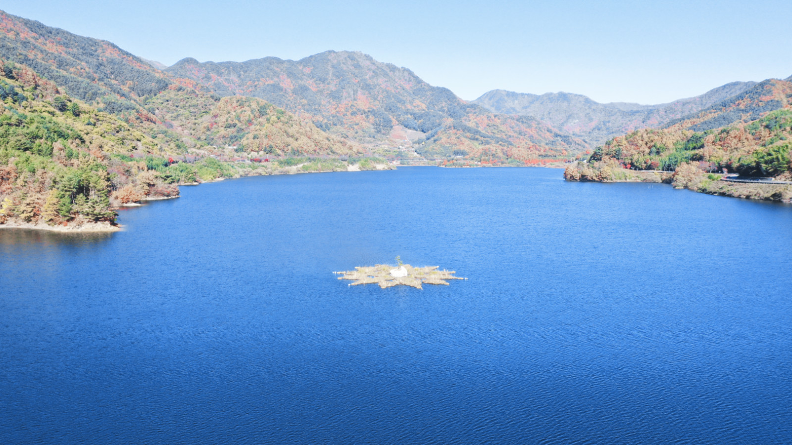 挖人参、做丹药、住转运古宅，想不到的韩国深山秘境游