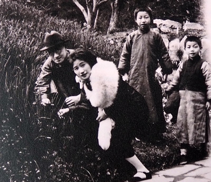 林徽因被冰心暗讽，被鲁迅骂“不纯洁”，为何她本人从不还嘴？