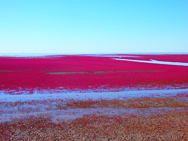 北京的北边有片红红的海北京很多人都没有去过