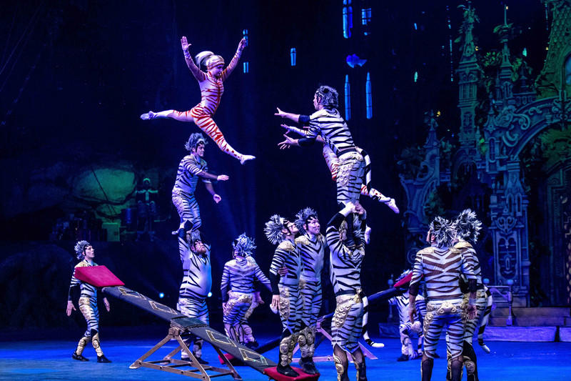 玩转广州长隆野生动物世界之行,广州长隆动物世界游玩攻略图