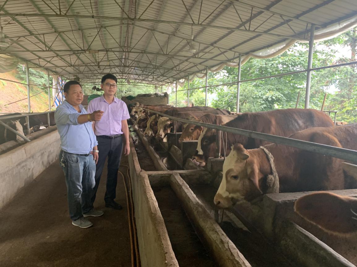 农行县支行绿色金融助力发展,农行邢台分行助力普惠金融发展