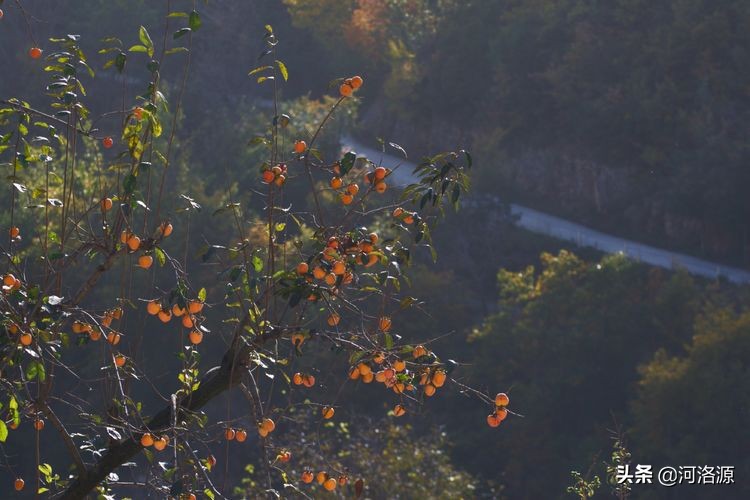 巩义最美乡村,巩义最美乡村游玩好去处