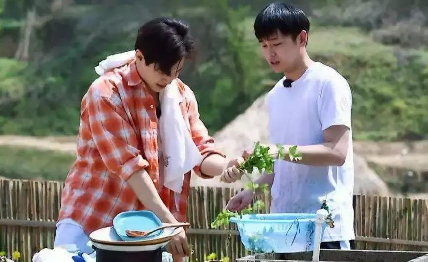 刘宪华退出向往的生活原因,刘宪华为什么退出向往的生活