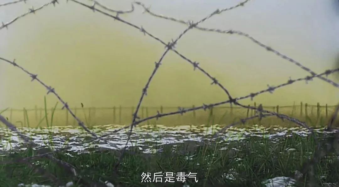 最近上映的电影豆瓣,最近上映的院线电影豆瓣评分