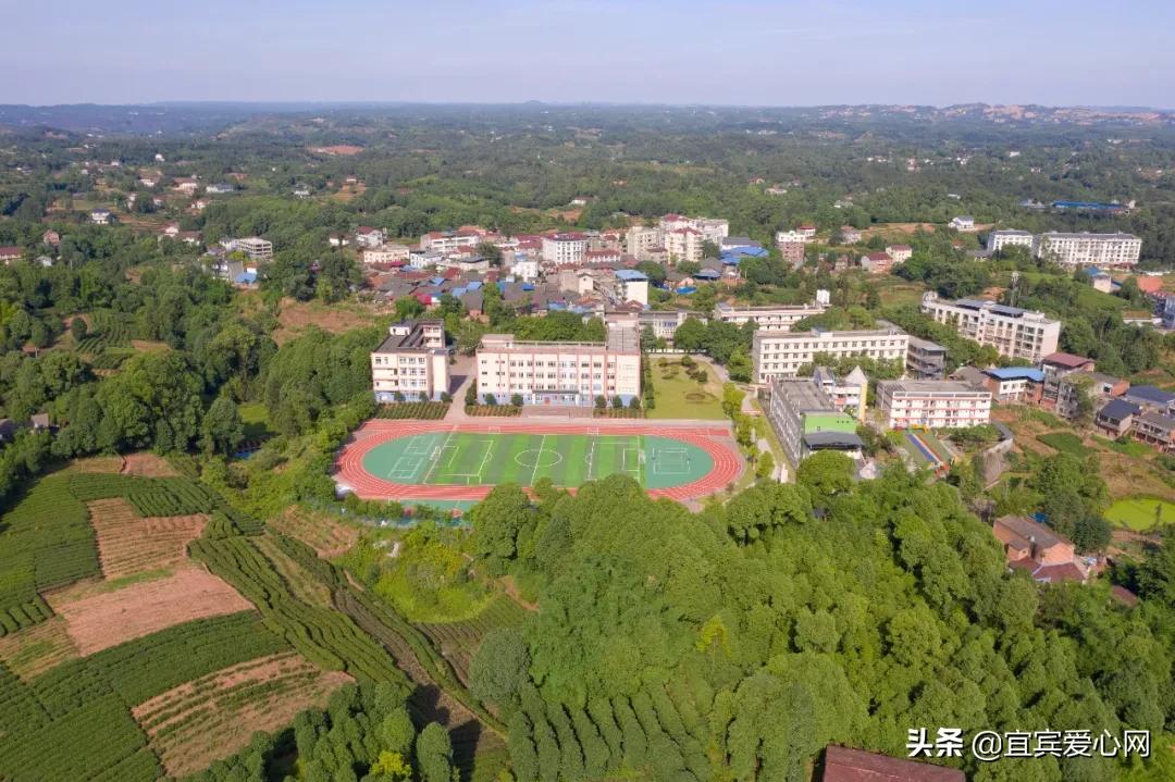航拍青山绿水震撼风景竖屏视频,震撼校园秋景航拍