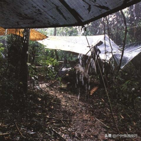 野外找水源最好的办法,野外四种找水方法