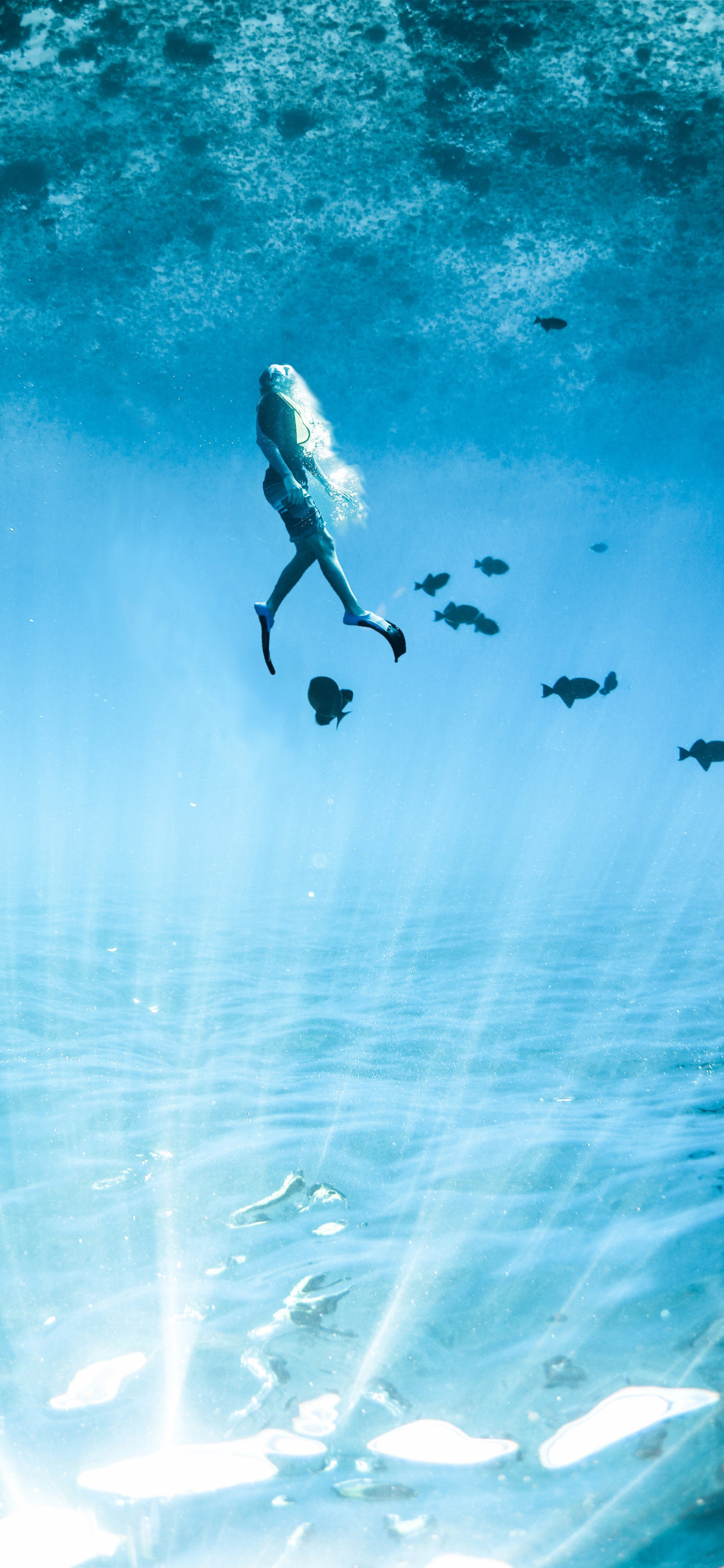 刘海屏手机壁纸苹果,iphone11桌面壁纸刘海屏