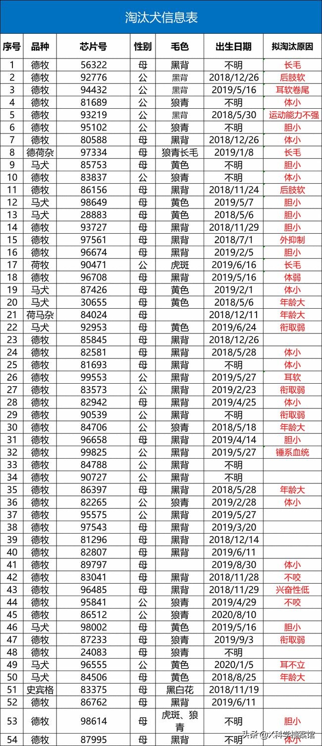 云南缉毒犬查获毒品,云南昆明缉毒犬的训练