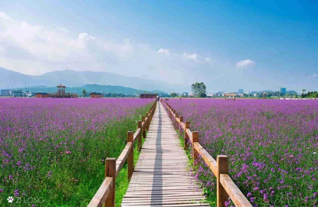 带你了解梅州,梅州介绍宣传片