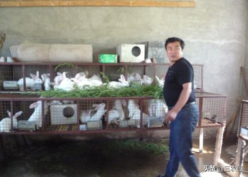 适合农民做的小生意有哪些,适合农民在家做的副业项目是什么