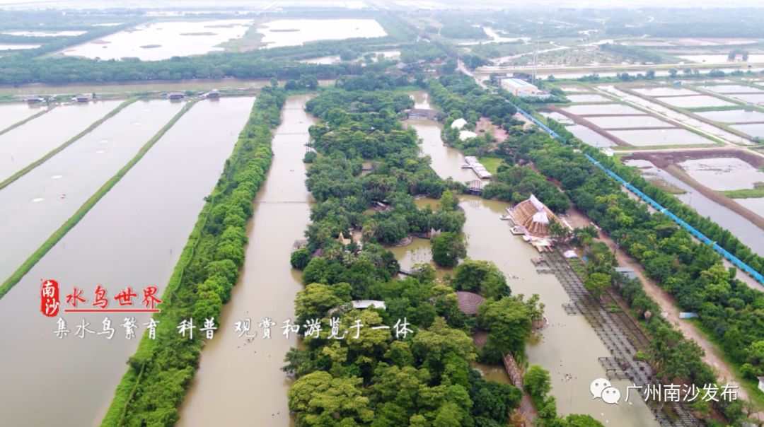 南沙真的美,南沙以后到底会怎么样