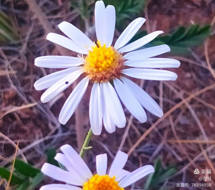 内蒙古二连浩特地图,内蒙古二连浩特机场