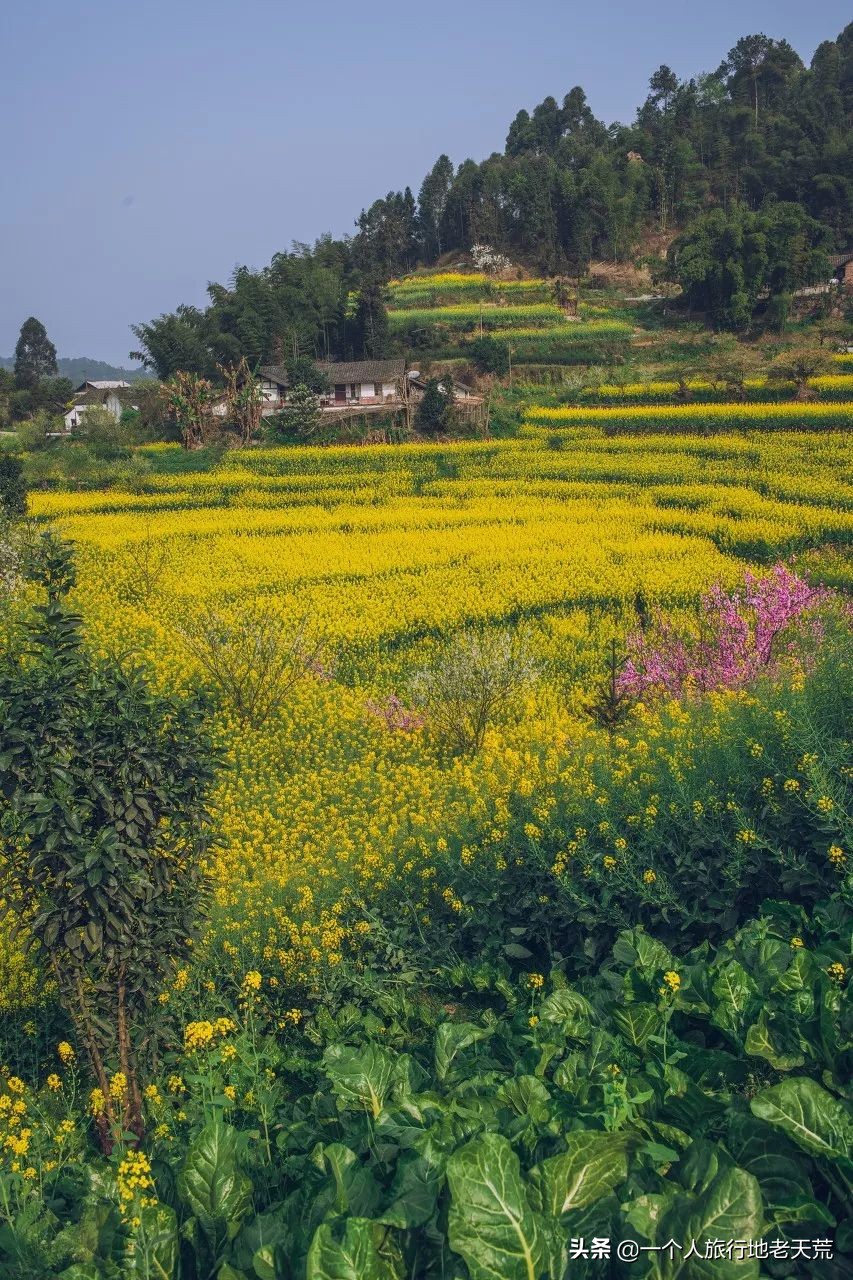 有生之年一定要去四川吗,年轻时不能去四川吗