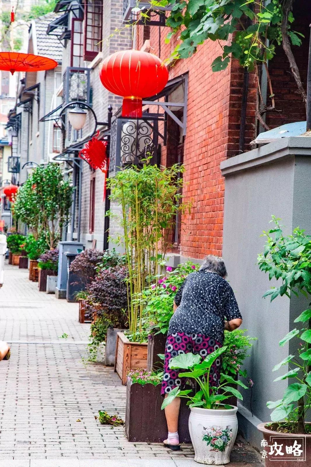 慧园里,南京城中,时光交错的角落