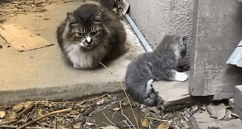 24岁男子喜当爹去派出所,90后男子相亲被误当爹