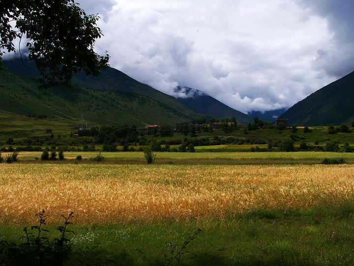 （一）我的藏地明码：九年前烂路相伴的G318；15天川进青出甘南回