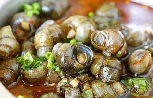 炒田螺要不要先“焯水”?很多人弄错了,难怪田螺腥味重不嫩不鲜