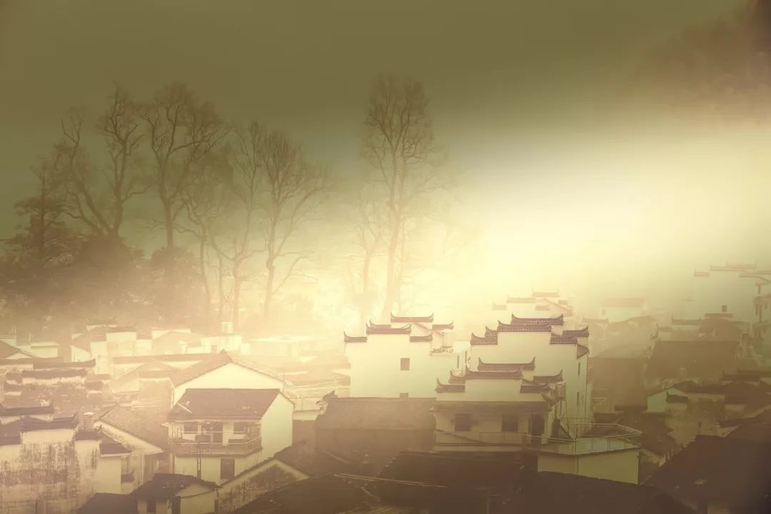 你的姓氏，早已被古人写进了诗里