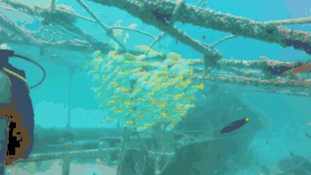 去马尔代夫玩哪个岛最值得推荐,去哪里旅游马尔代夫划算