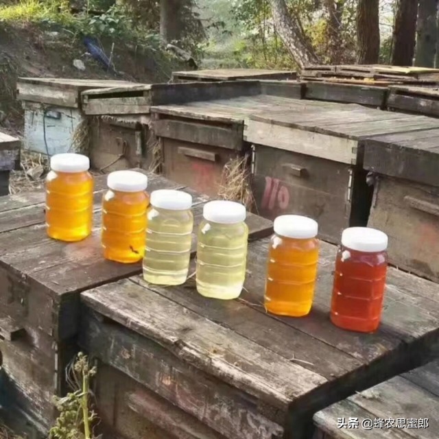 中蜂蜂蜜市场前景分析,蜂蜜行业发展前景及其风险