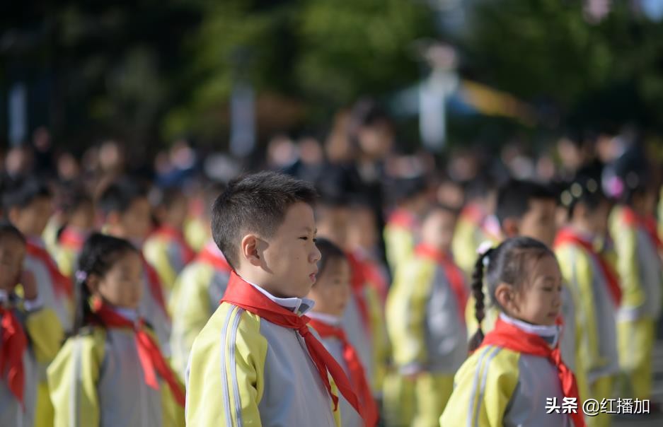 少先队员参加少先队活动感受,小学少先队员入队活动