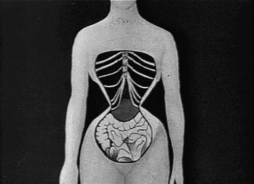 欧洲紧身胸衣样式,19世纪紧身胸衣