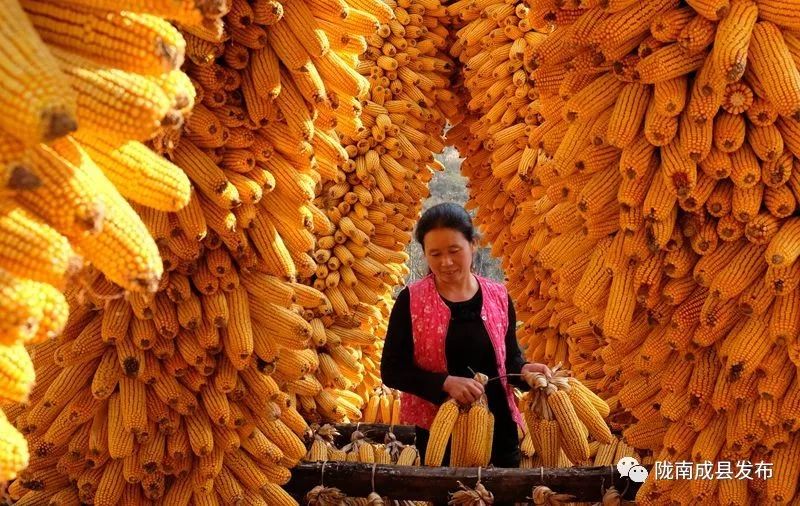 我叫成县，这是我2019年的自拍照~