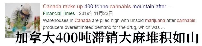 加拿大油菜籽出口滞销,加拿大大麻滞销