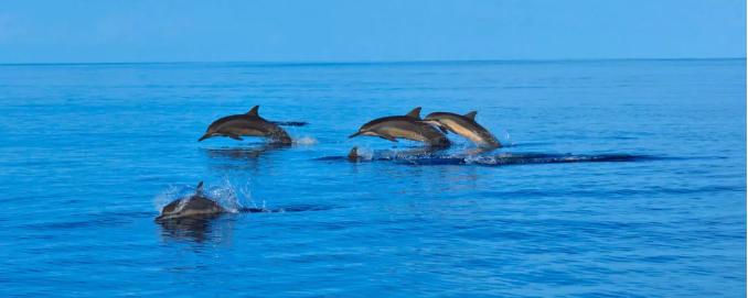 双层梦幻水屋，你要的马尔代夫性价比最高六星岛