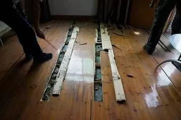 晚上开灯进来好多小飞虫怎么办,晚上开灯就引来很多飞虫是什么