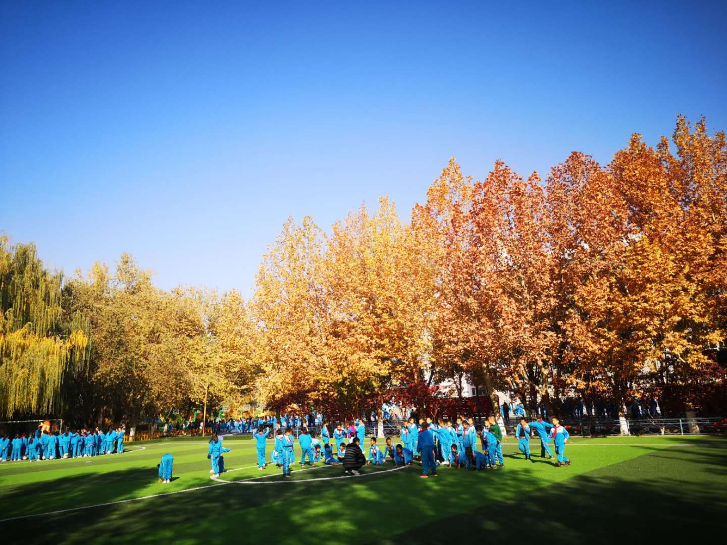 原创校园,原创校园文学作品