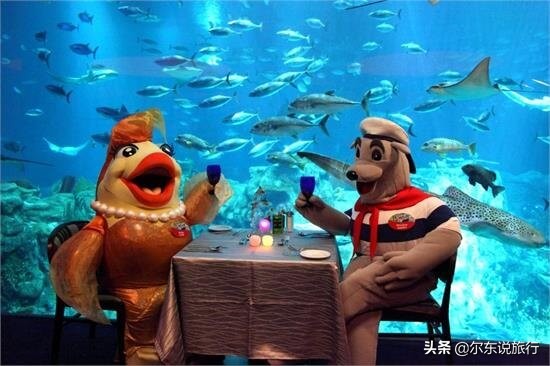 寒假亲子游最佳攻略,寒假国内亲子游攻略