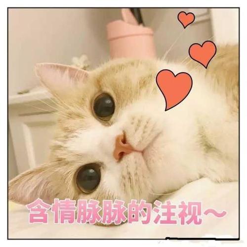 澳门一日游攻略自由行,澳门潮牌潮店购物攻略