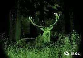 黑洞和恒星深度剖析,论黑洞与虫洞的区别