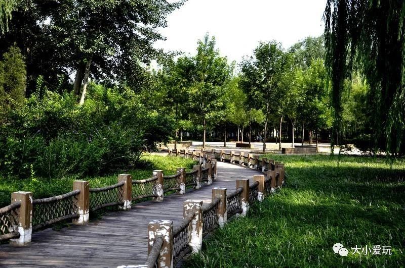 北京适合踏春旅游景点,北京春天看花的景点推荐